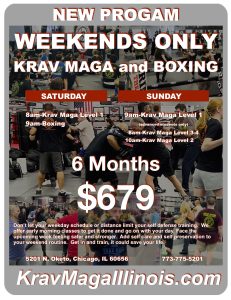 weekend krav maga